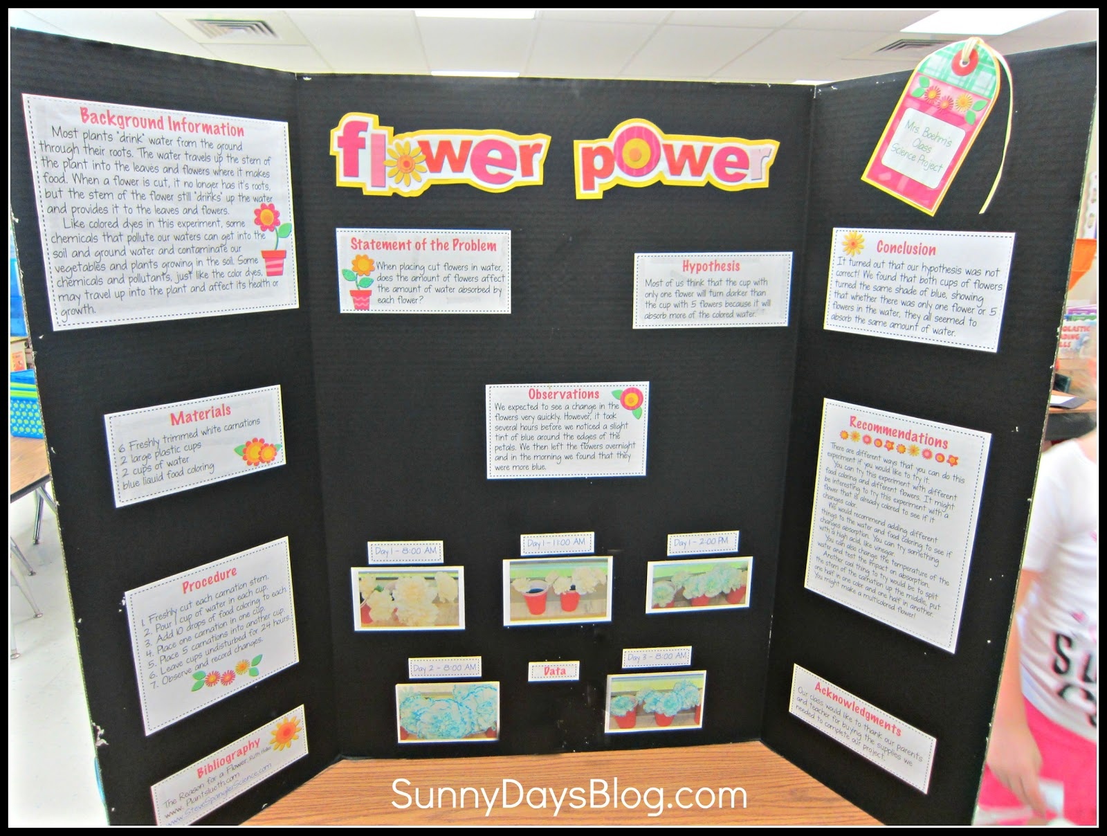 Science Fair Made Easy (And Free!) - Sunny Days In Second Grade - Free Printable Science Fair Project Board Labels