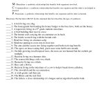 Symbiosis Worksheet: Free Printable Worksheets On High School Bio   Free Printable Worksheets For Highschool Students