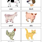 Variety Of Animal Flashcards | Theme~Zoo | Flashcards For Kids, Free   Free Printable Farm Animal Flash Cards