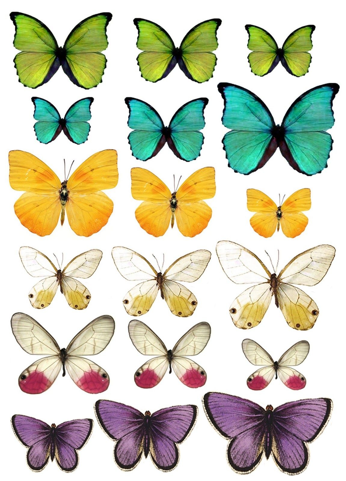 shtampomaniya-free-printables-butterflies-butterflies-free