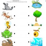 Worksheet : Free Printable Matching Animals To Their Home Habitats   Free Printable Worksheets Animal Habitats