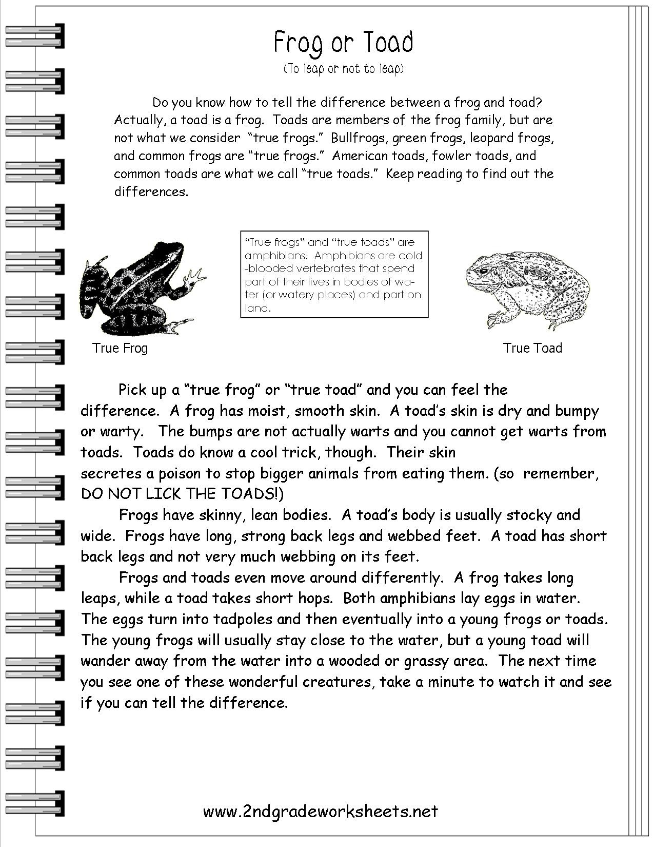Free Printable Short Stories For 2Nd Graders Free Printable