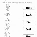 20 Free Printable 5 Senses Worksheets For Kindergarten   Free Printable Worksheets Kindergarten Five Senses