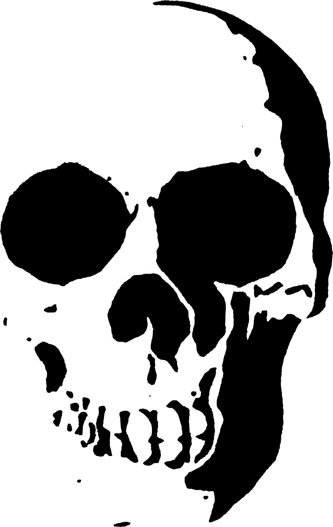 Printable Airbrush Skull Stencil Customize and Print