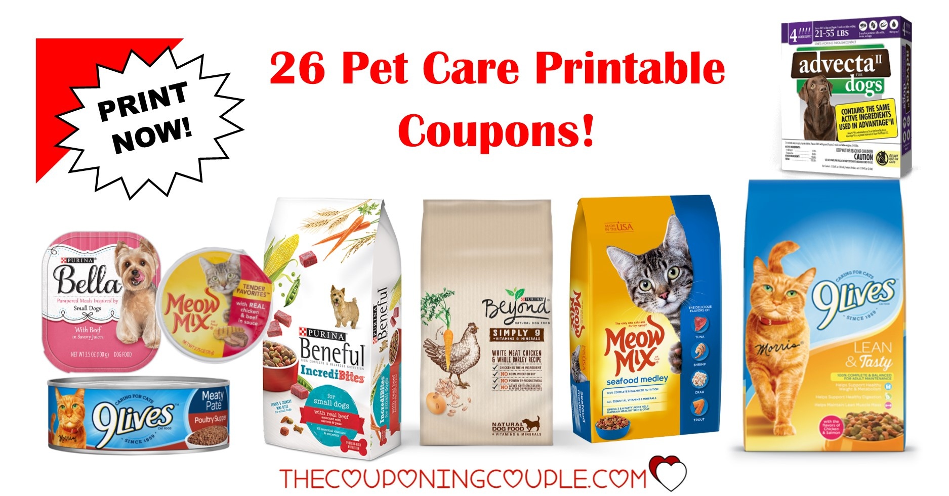 Free Printable 9 Lives Cat Food Coupons Free Printable