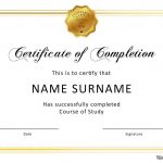 40 Fantastic Certificate Of Completion Templates [Word, Powerpoint]   Free Printable Certificates