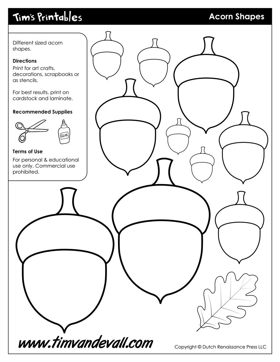 Acorn Templates Printable Acorn Shapes Blank Shape Pdfs Acorn