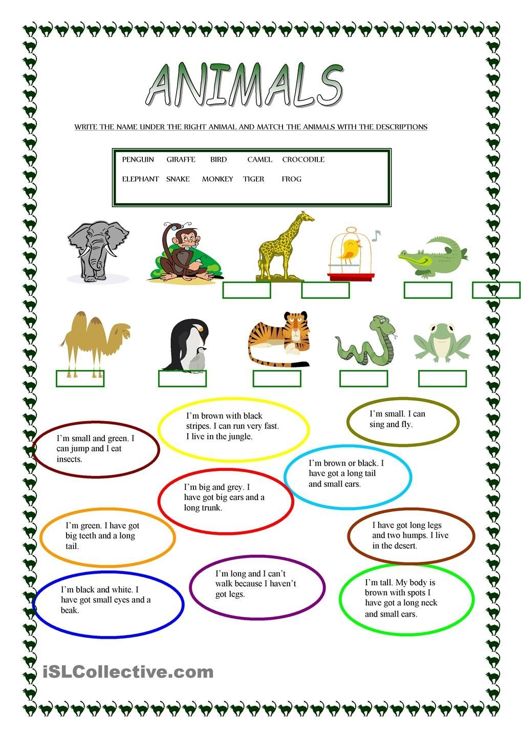 Animals | Free Esl Worksheets | Teachers Resources | Animal - Free Printable Esl Worksheets