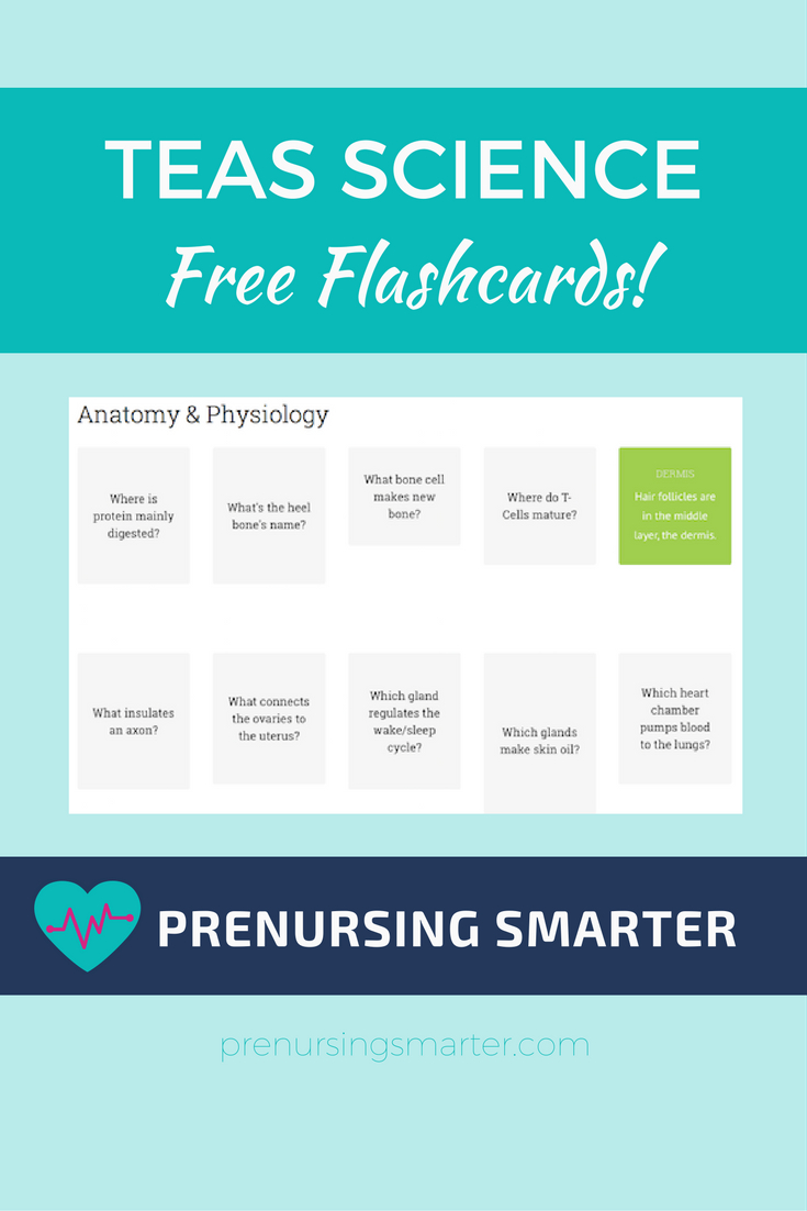 Teas Quizlet Practice Sets For The Teas 6 Teas Reading Prep Tips