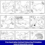 Australian Animals Colouring Pages | Australia | Australian Animals   Free Printable Australian Animals