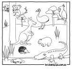 Australian Animals Colouring Pages | Brisbane Kids   Free Printable Pictures Of Australian Animals