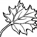 Autumn Borders Colouring Pages | Coloring Pages | Fall Leaves   Free Printable Fall Leaves Coloring Pages