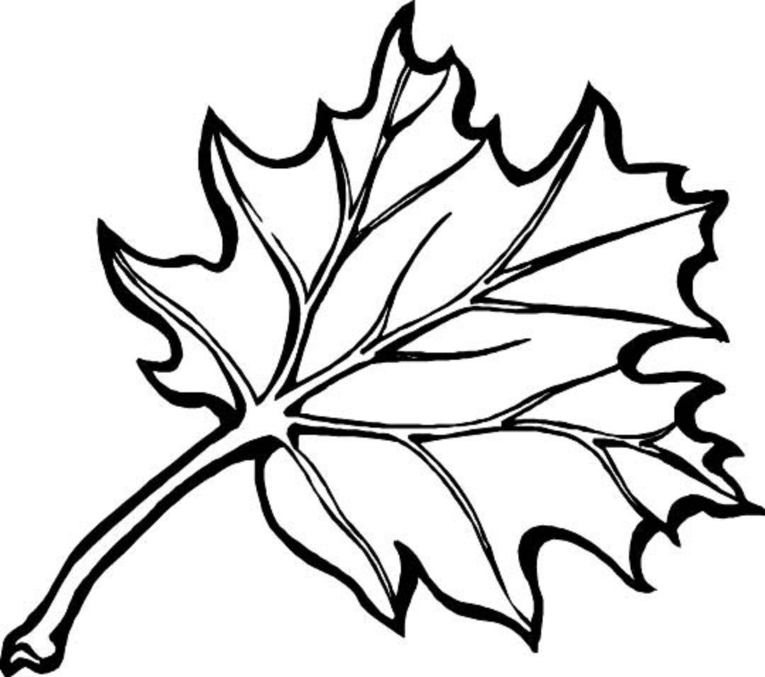 Autumn Borders Colouring Pages | Coloring_Pages | Fall Leaves - Free Printable Fall Leaves Coloring Pages