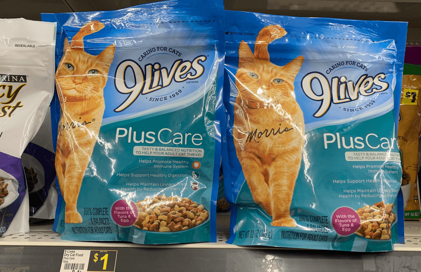 Free Printable 9 Lives Cat Food Coupons Free Printable