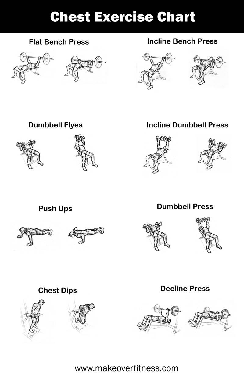 Chest Exercise Chart - Free Printable Gym Workout Routines
