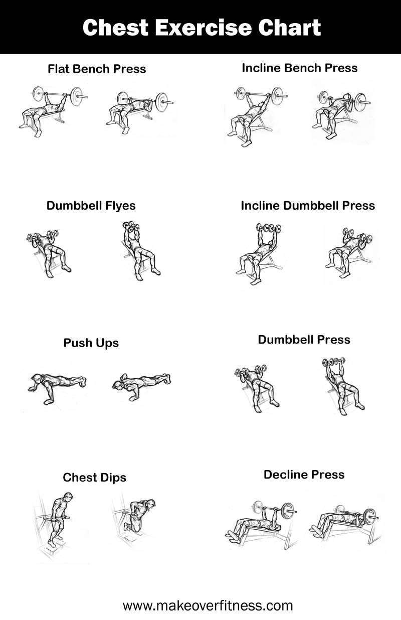 free-printable-total-gym-exercise-chart