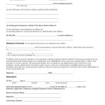 Child Custody Agreement Special Best S Of Temporary Guardianship   Free Printable Child Custody Papers