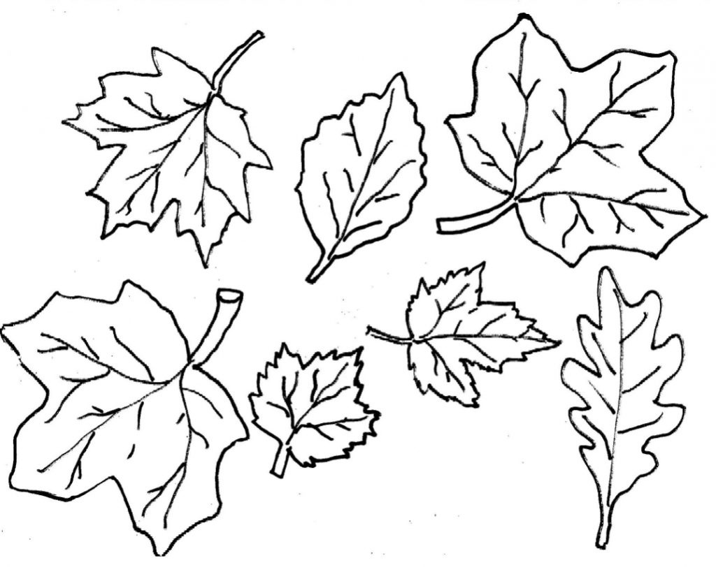 Coloring Book World ~ Maple Leaf Coloring Sheet Free Printable Pages - Free Printable Fall Leaves Coloring Pages