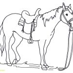 Coloring Page ~ Free Horse Coloring Pictures Horses Pagesintable   Free Printable Horse Coloring Pages