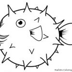 Coloring Page ~ Free Ocean Animal Templates Just Arrived Sea Animals   Free Printable Sea Creature Templates