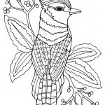 Coloring Pages   Free Printable Coloring Books For Adults