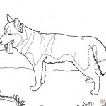 Coloring Pages Of Dogs   K 9 Police Dog Coloring Page Free Printable   Free Printable Dog Coloring Pages