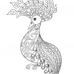 Coloring Pages : Small Adult Coloring Books Incredible Peacock Page   Free Printable Peacock Pictures
