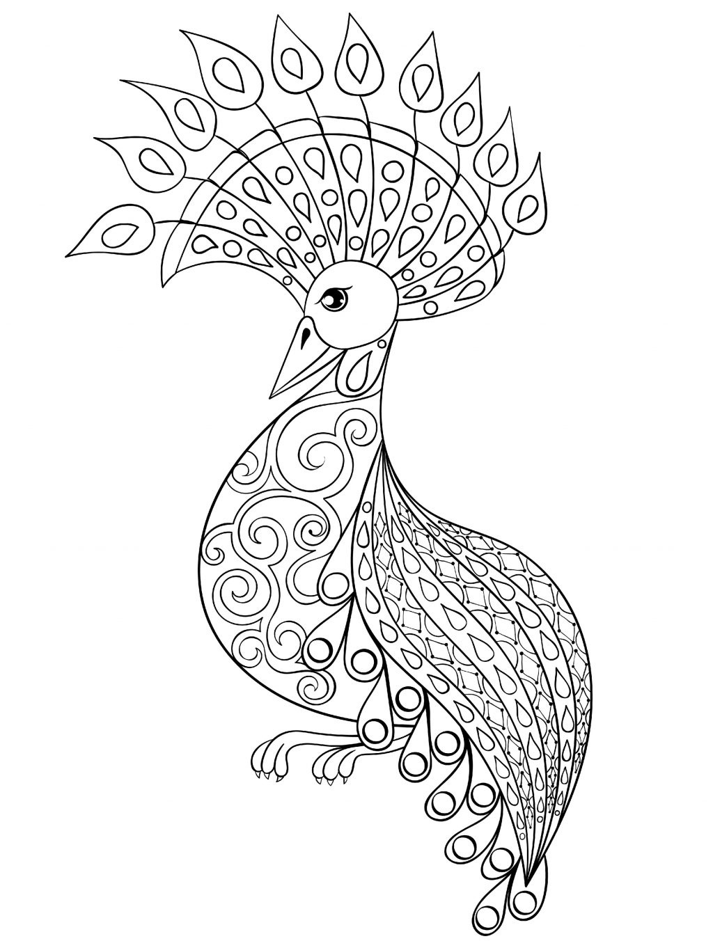 Coloring Pages : Small Adult Coloring Books Incredible Peacock Page - Free Printable Peacock Pictures