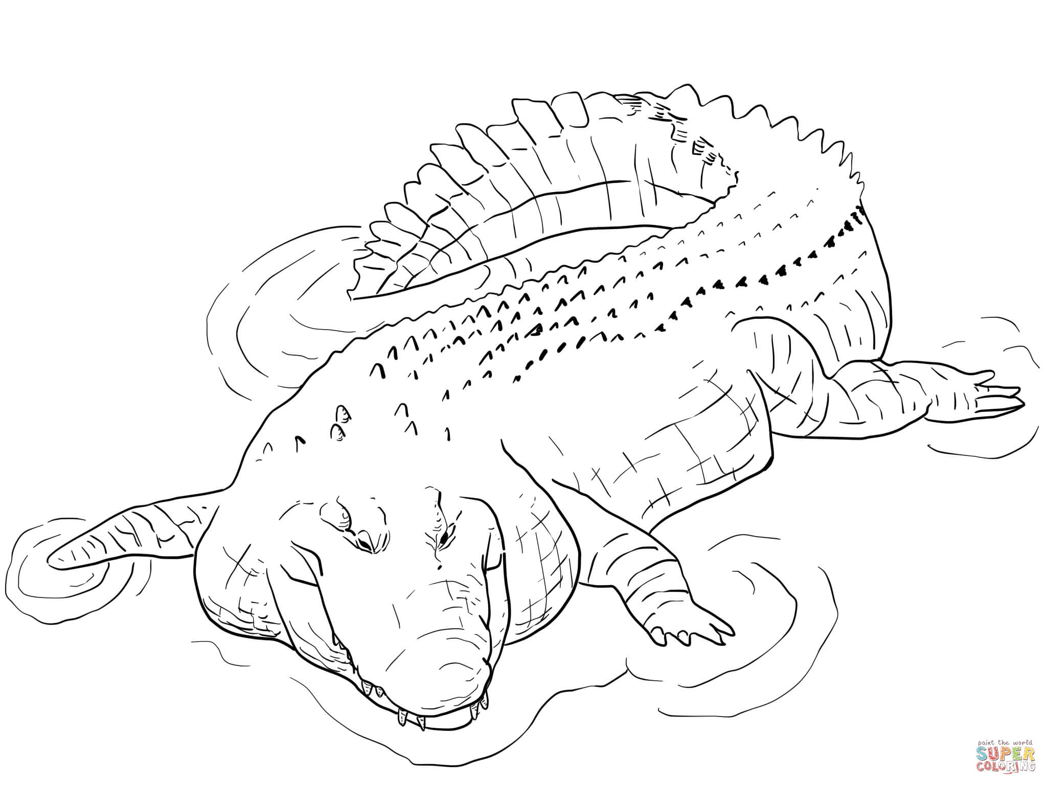 Crocodile Coloring Pages | Free Coloring Pages - Free Printable Pictures Of Crocodiles