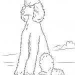 Dogs Coloring Pages | Free Coloring Pages   Free Printable Poodle Template