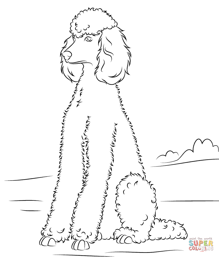 Dogs Coloring Pages | Free Coloring Pages - Free Printable Poodle Template