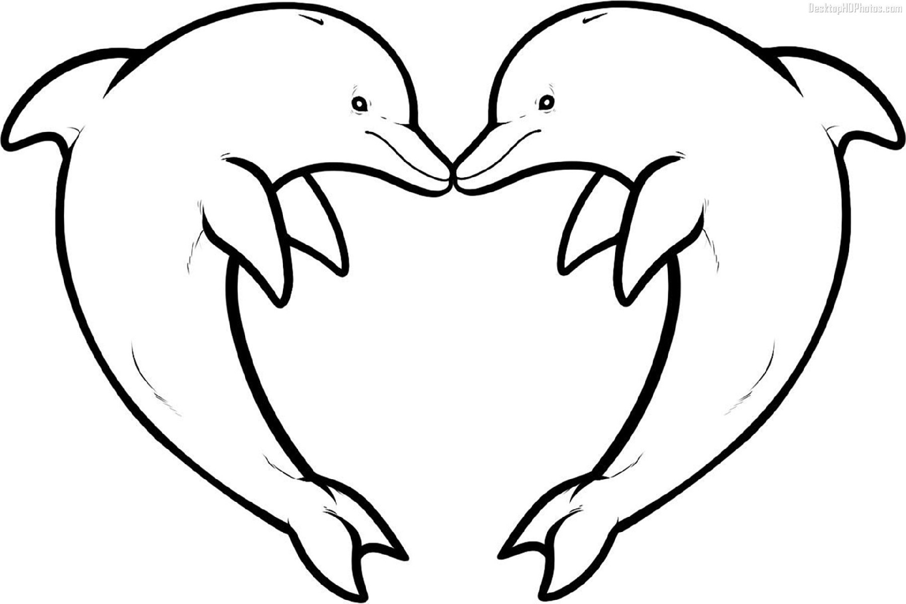 Dolphin Coloring Pages For Kids | Educative Printable - Dolphin Coloring Sheets Free Printable