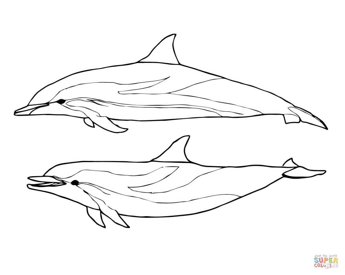 Dolphins Coloring Pages | Free Coloring Pages - Dolphin Coloring Sheets Free Printable