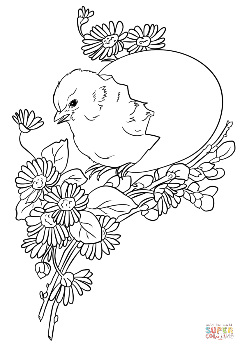 Easter Chick Coloring Page | Free Printable Coloring Pages - Free Printable Easter Baby Chick Coloring Pages