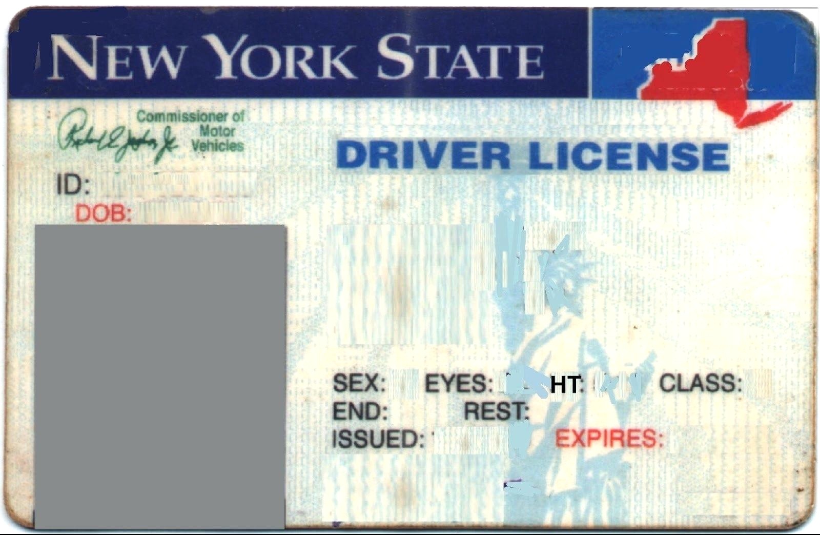 fake drivers license generator to test form