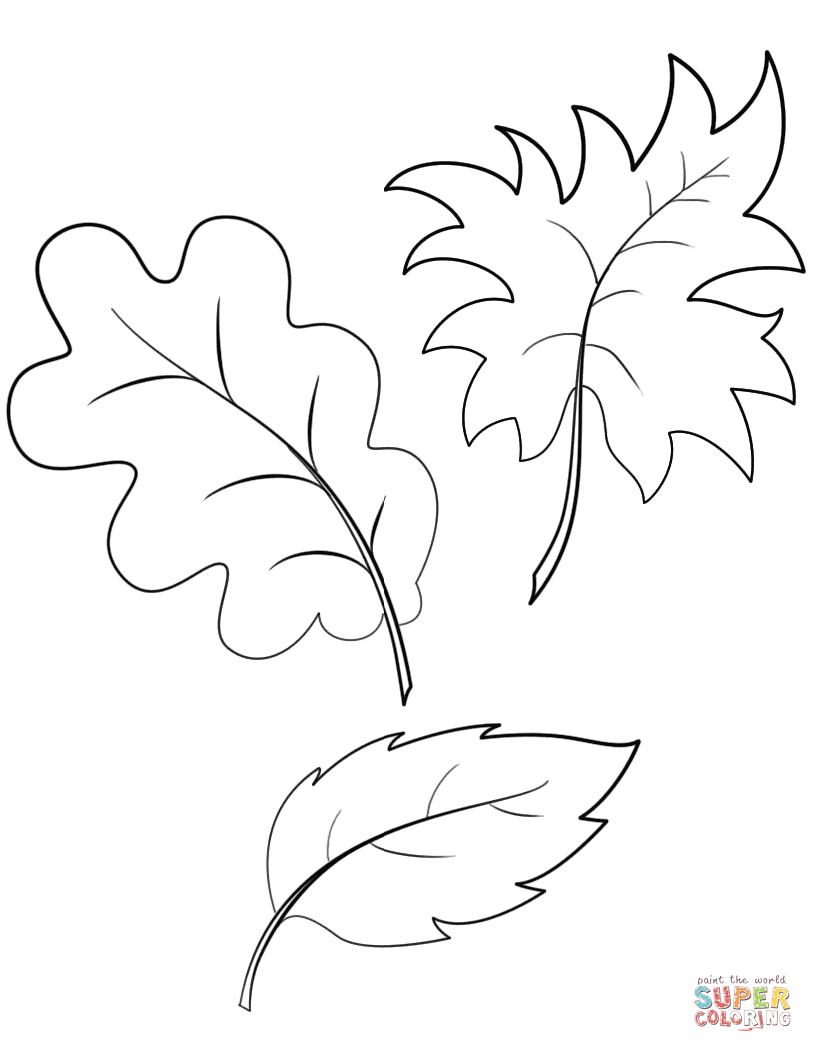 Fall Autumn Leaves Coloring Page | Free Printable Coloring Pages - Free Printable Leaf Coloring Pages