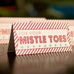 For Your Mistle Toes + Free Printable | Ivy In The Bay – Free Printable Mistletoe Tags