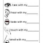 Free Activity Sheets For Kids Printable | Kids Worksheets Printable   Free Printable Worksheets Kindergarten Five Senses