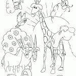 Free Bible Creation Coloring Pages | Creation Printables | Sunday   Free Printable Sunday School Coloring Sheets
