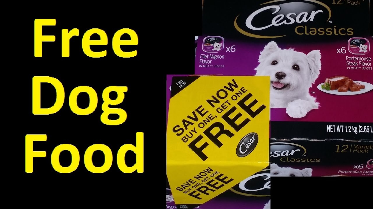 Free Dog Food Cesar Dog Food Coupon Voucher ~ I Got Over $2500 - Youtube - Free Printable Dog Food Coupons