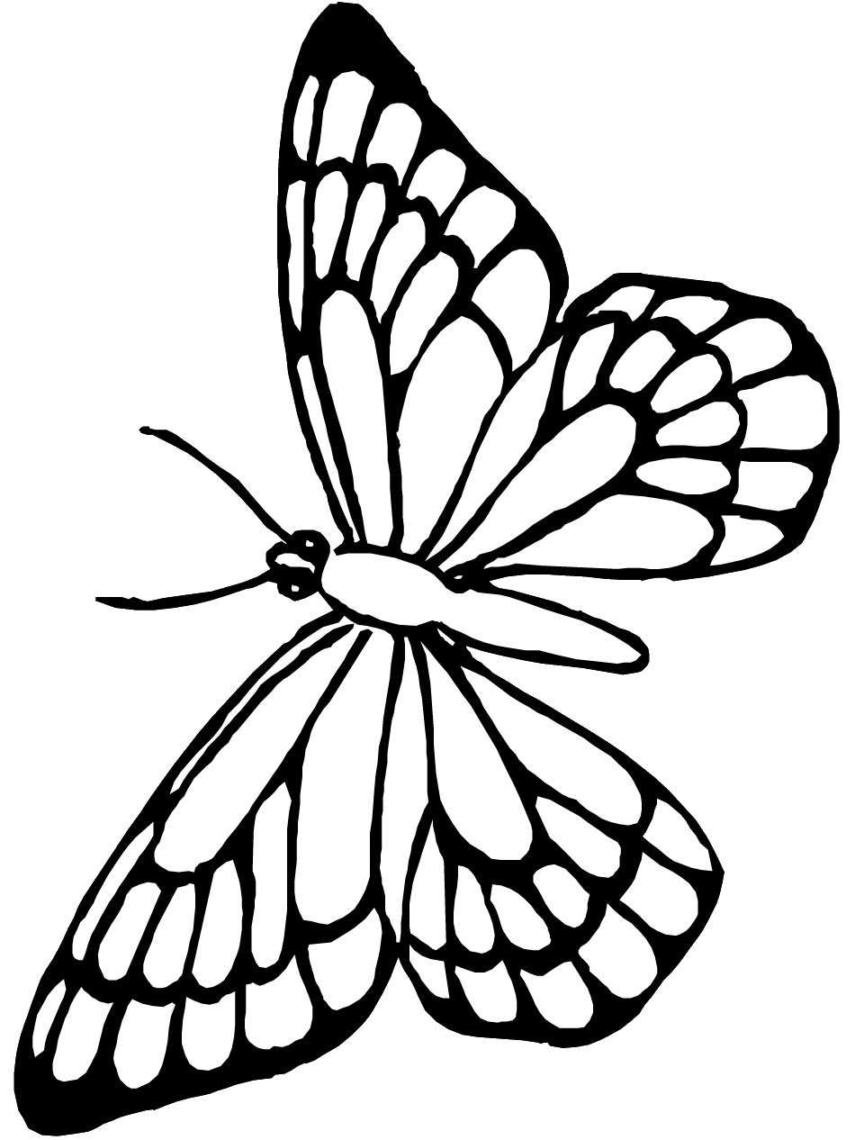 Free Monarch Butterfly Template, Download Free Clip Art, Free Clip - Free Printable Butterfly Clipart