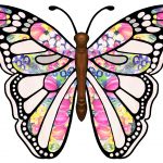 Free Pictures Of Butterflies | Free Download Best Free Pictures Of   Free Printable Butterfly Clipart