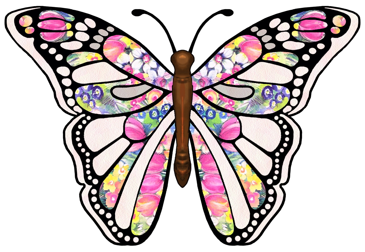 Free Pictures Of Butterflies | Free Download Best Free Pictures Of - Free Printable Butterfly Clipart