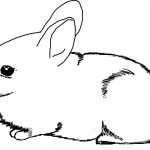 Free Printable Bunny Rabbit Coloring Pages For Kids To Print And   Free Printable Bunny Pictures