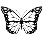 Free Printable Butterfly Coloring Pages For Kids | Butterfly   Free Printable Butterfly Coloring Pages