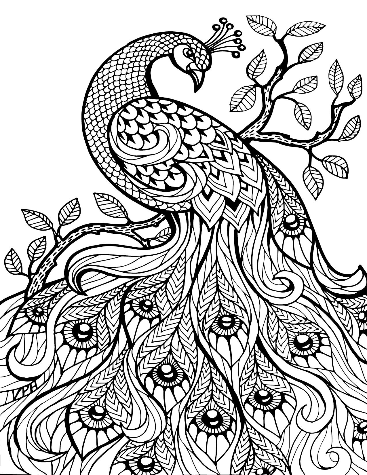 Free Printable Coloring Books For Adults Free Printable