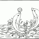 Free Printable Dolphin Coloring Pages For Kids – Dolphin Coloring Sheets Free Printable