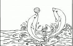 Free Printable Dolphin Coloring Pages For Kids – Dolphin Coloring Sheets Free Printable