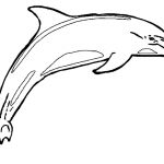 Free Printable Dolphin Pictures, Download Free Clip Art, Free Clip   Dolphin Coloring Sheets Free Printable