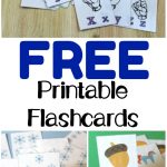 Free Printable Flashcards   Look! We're Learning!   Free Printable Flash Cards